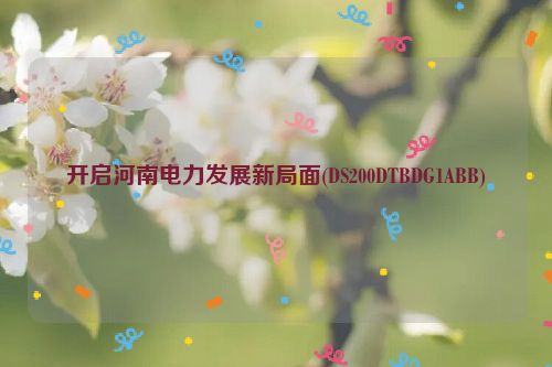 开启河南电力发展新局面(DS200DTBDG1ABB)