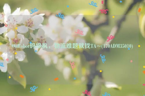 OnRobot码垛机，物流难题就找TA~(170ADM35010)