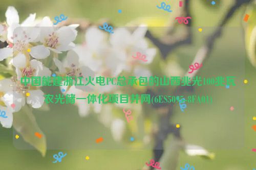 中国能建浙江火电PC总承包的山西兆光100兆瓦农光储一体化项目并网(6ES5095-8FA01)